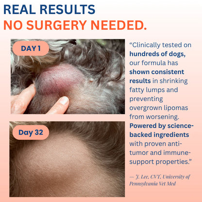 The #1 Vet Recommended Lipomas Relief Supplement